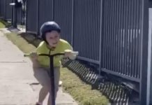 Bird vs kid, Bird wins