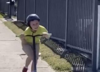 Bird vs kid, Bird wins