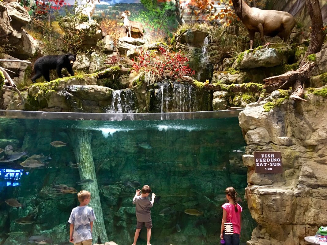Man Goes Swimming in Bass Pro Shops