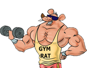 Gym Rats Are Sweeping The Nation: What effect will this have on the casual athlete? Gym Rat Photo