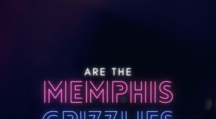 Are the Memphis Grizzlies Partying Their Way to Losses? Memphis Grizzlies Partying Data Analysis